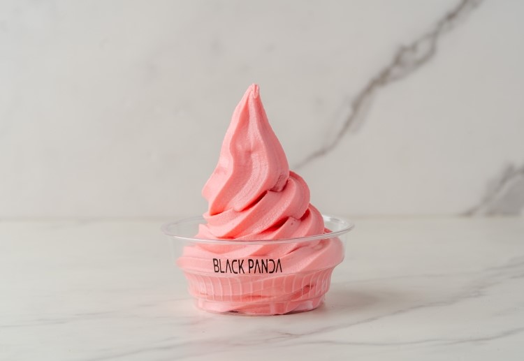 Pomegranate Frozen Yogurt